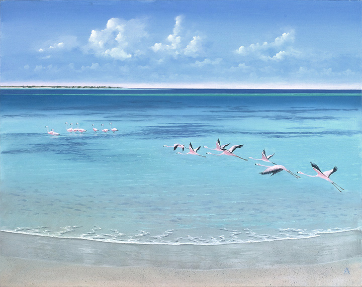 Flamingos - Tarpon Point" - Ambergris Cay 
