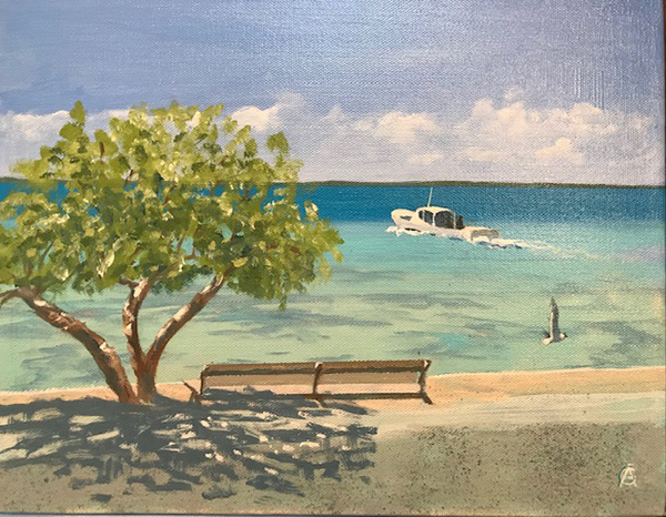 ater Taxi to Eleuthera by Christopher Crofton-Atkins
